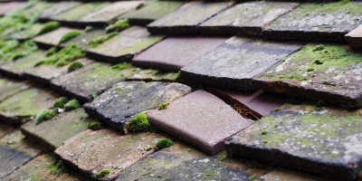 Llanfachraeth roof repair costs